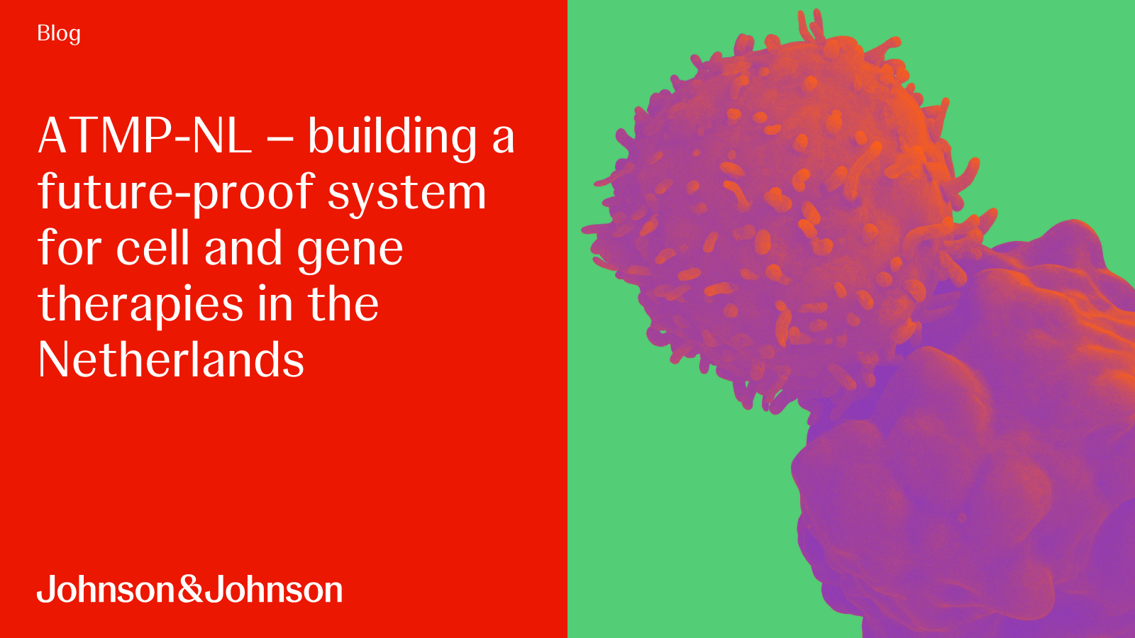 Innovation Centers | Johnson & Johnson Innovation